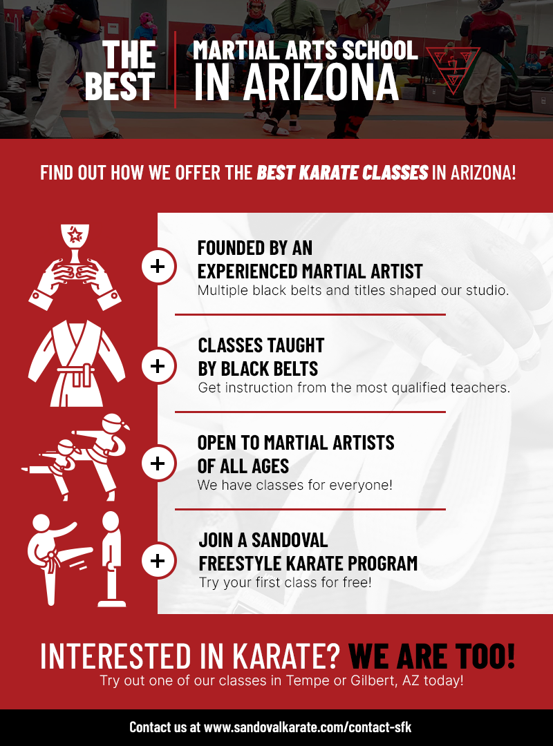The Best Martial Arts School in Arizona Infographic